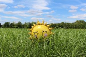 Summer Survival Guide